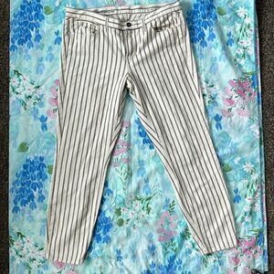 Madewell Skinny Skinny Ankle Jeans in Twin Stripe - 32